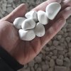  White Pebble stone 